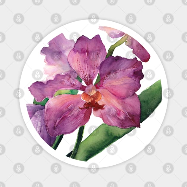 Purple Phalaenopsis Orchid Magnet by artofsuff